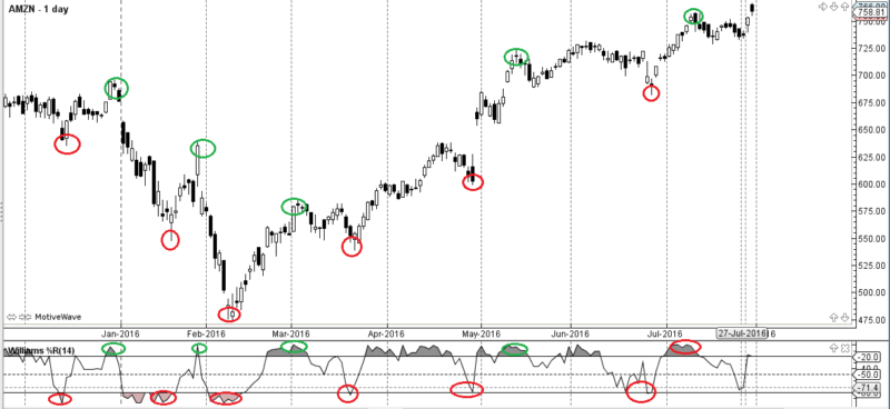 Grafico 2. Amazon