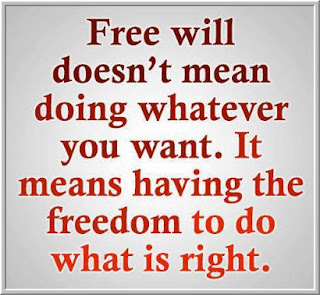 FreeWill