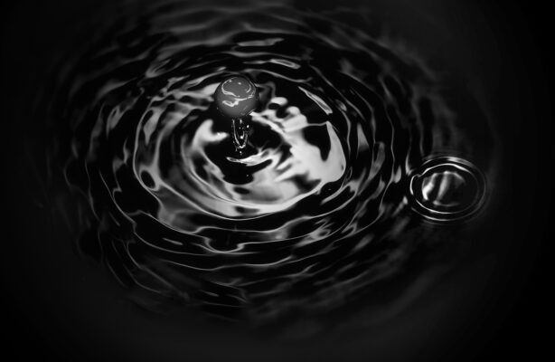 shutterstock 352459484